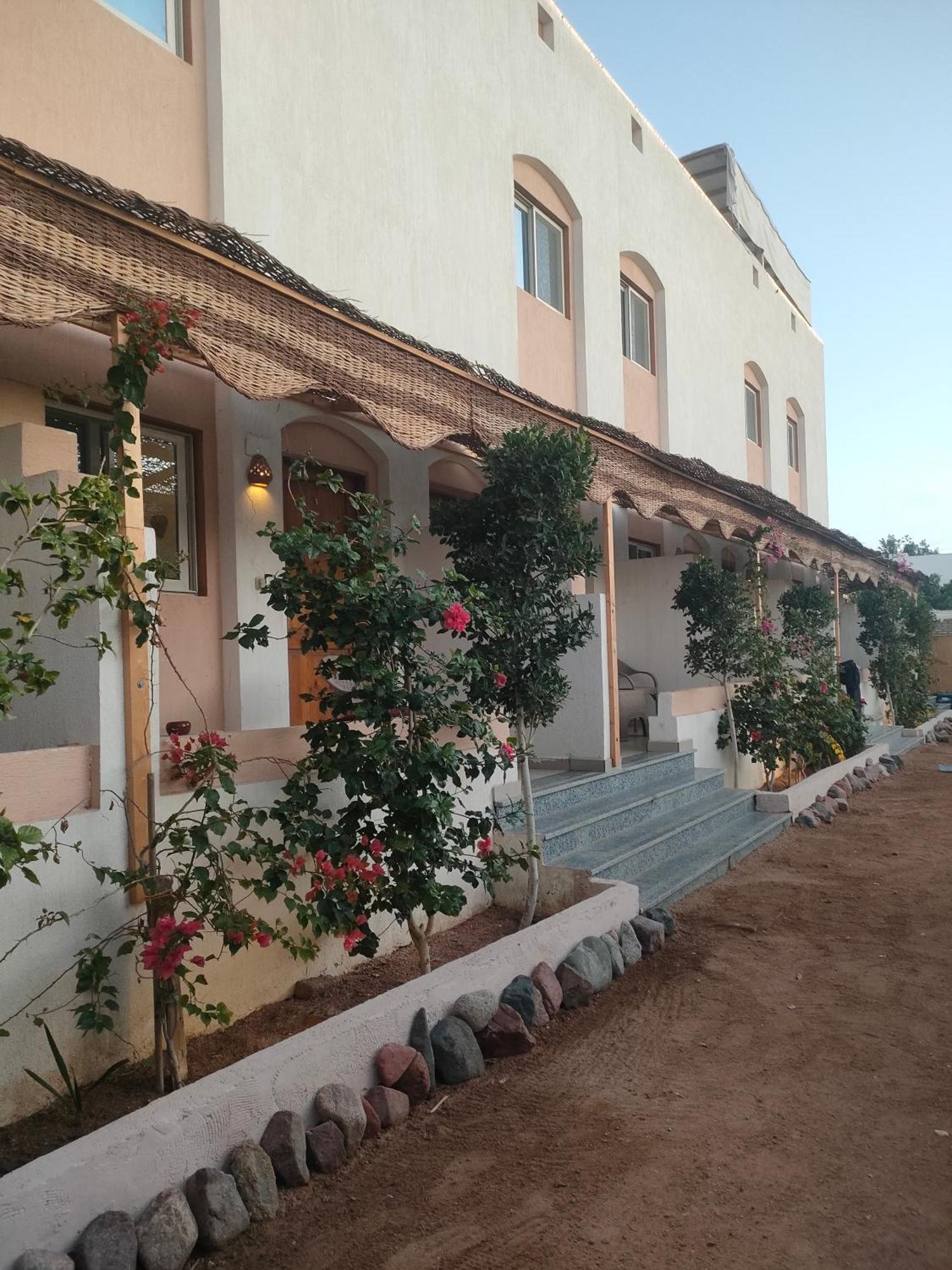 Al Deira Dahab Hotel Kültér fotó